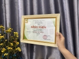 Khung Bằng Khen Đẹp BO01