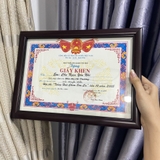 Khung Bằng Khen Đẹp Màu Nâu 102N