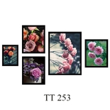 Khung Tranh Treo Tường TT253