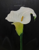 Tranh sơn dầu Lily flower 