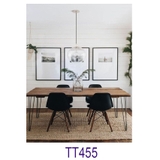 Khung Tranh Treo Tường TT455
