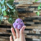 Bạch Tuột Tuyết  - Trang trí lưu niệm