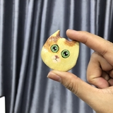 Mèo con - Hít tủ lạnh