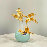 Hoa lan hồ điệp mạ vàng