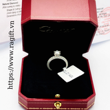 Nhẫn vàng trắng 