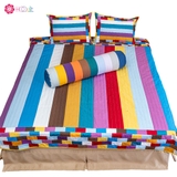 set chăn gối cánh đồng hoa tulip no.1
