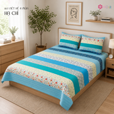 Set Hạ Chí