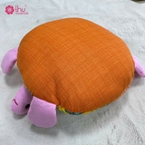 mặt sau rùa