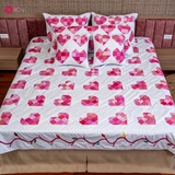 COMPLATE HAPPINESS - Hạnh Phúc Tròn Đầy