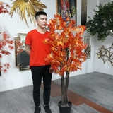 Cây trang trí 35JA0041