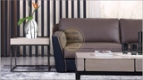 SOFA 76FS 2 100% DA BÒ TỰ NHIÊN N.K CHÂU Á NGUYÊN CHIẾC 76FS