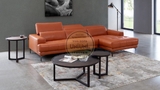 SOFA CAO CẤP CHÂU ÂU 31CT 100 100% DA BÒ TỰ NHIÊN (SX TẠI NƯỚC THỨ 3) N.K NGUYÊN CHIẾC