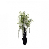 Cây trang trí 35JA0079