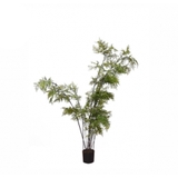 Cây trang trí 35JA0075