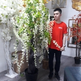 Cây trang trí 35JA0079