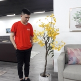 Cây trang trí 35JA0071