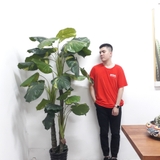 Cây trang trí 35JA0045