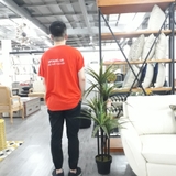 Cây trang trí 35JA0042