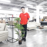 Cây trang trí 35JA0075