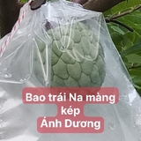 Túi Bao Trái Na Kích thước 18x20cm