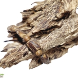 VÒNG TAY TRẦM HƯƠNG TỰ NHIÊN NGUYÊN KHỐI