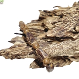 VÒNG TAY GỖ TRẦM HƯƠNG TỰ NHIÊN VÔ ĐỊNH HÌNH NỮ VIP