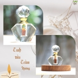 TINH DẦU TRẦM HƯƠNG TỰ NHIÊN NGUYÊN CHẤT_HD17