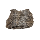 TRẦM HƯƠNG Ổ KHOAN - CANTIVATIVE AGARWOOD- HD01