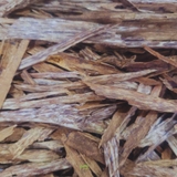 TĂM TRẦM HƯƠNG TỰ NHIÊN