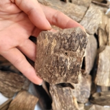 TRẦM HƯƠNG Ổ KHOAN - CANTIVATIVE AGARWOOD- HD01
