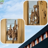 TRẦM HƯƠNG CẢNH