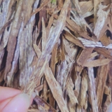 TĂM TRẦM HƯƠNG TỰ NHIÊN