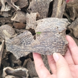 TRẦM HƯƠNG Ổ KHOAN - CANTIVATIVE AGARWOOD- HD02