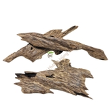 TRẦM MIẾNG TỰ NHIÊN - NATURAL AGARWOOD- HD04