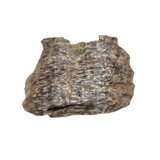 TRẦM HƯƠNG Ổ KHOAN - CANTIVATIVE AGARWOOD- HD02