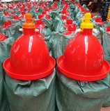 máng nước tự động cho gà