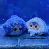 Baby Three Romantic Ocean Series - BlindBox