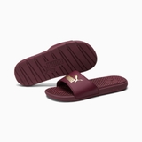 Dép Puma Cool Cat Campus Burgundy Gold 383782-04