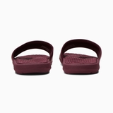 Dép Puma Cool Cat Campus Burgundy Gold 383782-04