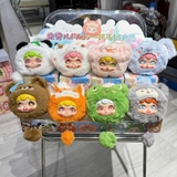 Midoo Cute Pet Team Blindbox Series