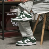 Giày Nike Dunk Low Michigan State CW1590-102