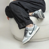 Giày Nike Dunk Low Light Smoke Grey DD1503-117