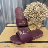 Dép Puma Cool Cat Campus Burgundy Gold 383782-04