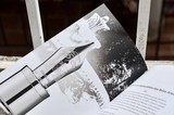 Bút Máy Montblanc Patron of Art Homage to Scipione Borghese Limited Edition 4810