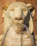 Bút Máy Visconti Il Magnifico Egyptian Marble Limited Edition