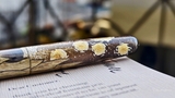 Bút Mực Silverleaf Starry Night Limited Edition