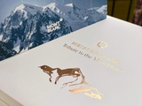 Bút Mực Montblanc Tribute to the Mont Blanc Meisterstuck W.A. Mozart