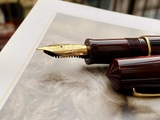 Bút Mực Leonardo Officina Italiana MZG Masterpiece Ebonite Rose Wood Limited Edition