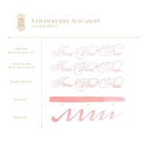Ferris Wheel Press | Strawberry Macaron 38ml