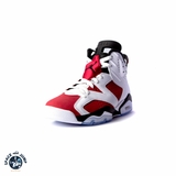 JORDAN 6 RETRO 